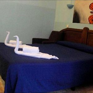 Kamer met een Queen Size Bed